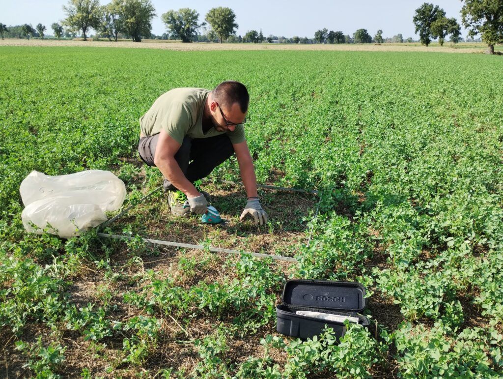Mani prelevano un campione di suolo da un terreno agricolo